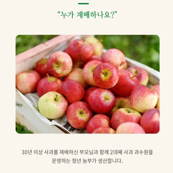 농업회사법인 강원파머스(주),마시는 영월사과 원물 100% NFC착즙 사과즙